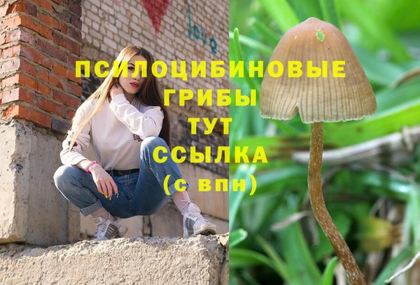 каннабис Алексин