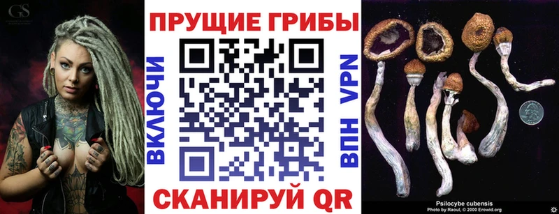 Псилоцибиновые грибы ЛСД  цены наркотик  кракен маркетплейс  Оханск 
